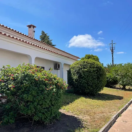 Penzion Quinta Palmeiras - Casa No Campo Com Piscina Pegões