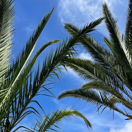 Quinta Palmeiras - Casa No Campo Com Piscina Pegões