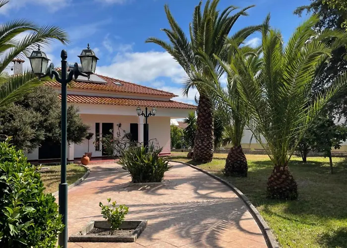 Quinta Palmeiras - Casa No Campo Com Piscina Pegões