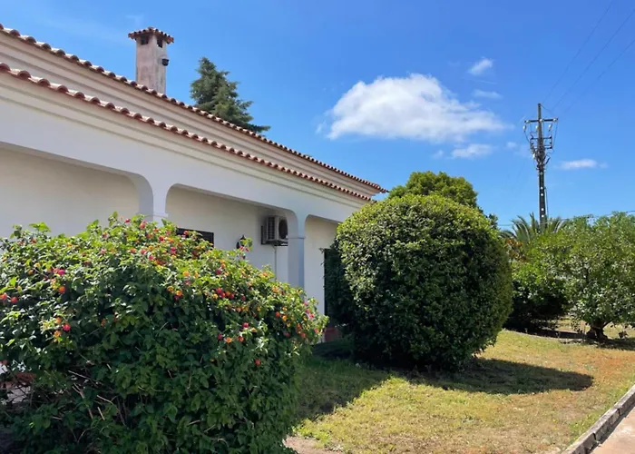 بيت ضيافة Quinta Palmeiras - Casa No Campo Com Piscina Pegões
